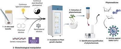 Plant in vitro Culture Technologies; A Promise Into Factories of Secondary Metabolites Against COVID-19